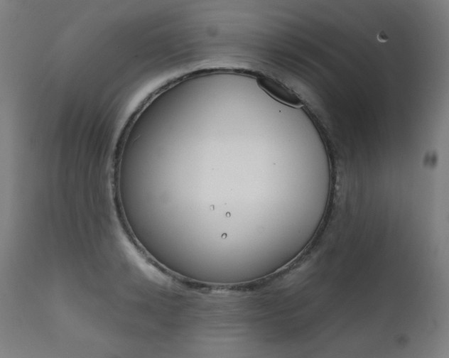 X0000112090942200908041045