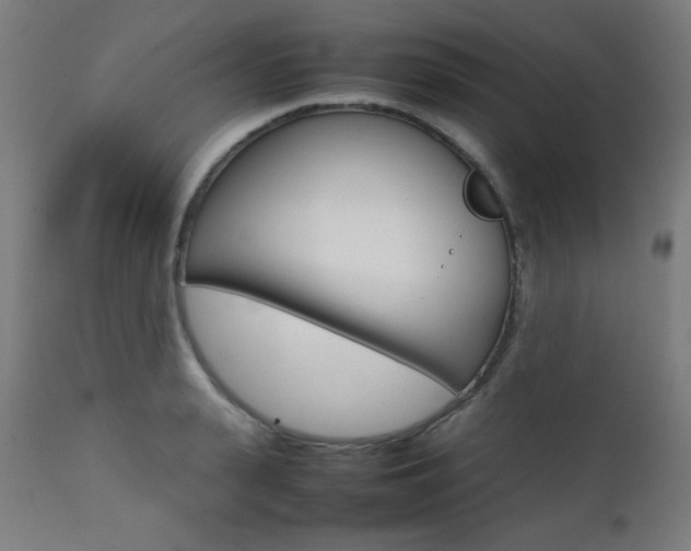 X0000112090943200908041045