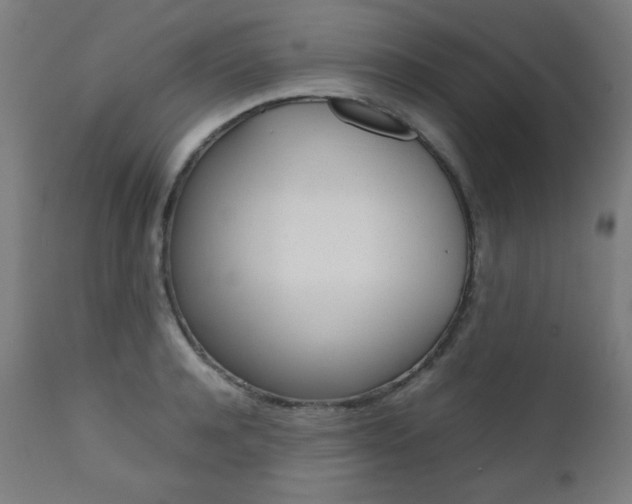 X0000112090944200908041045