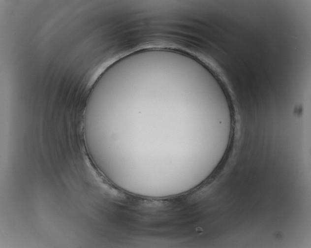 X0000112090945200908041045