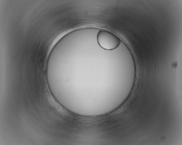 X0000112090948200908041045