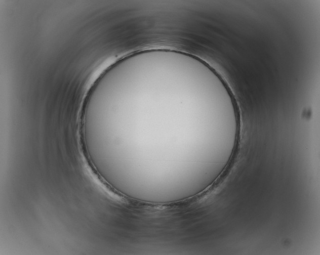 X0000112090949200908041045