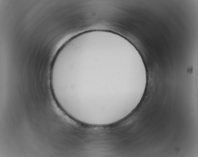 X0000112090950200908041045