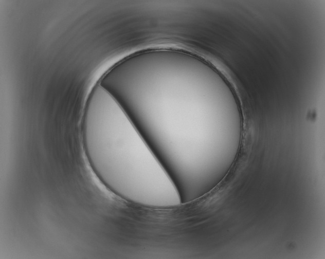 X0000112090951200908041045