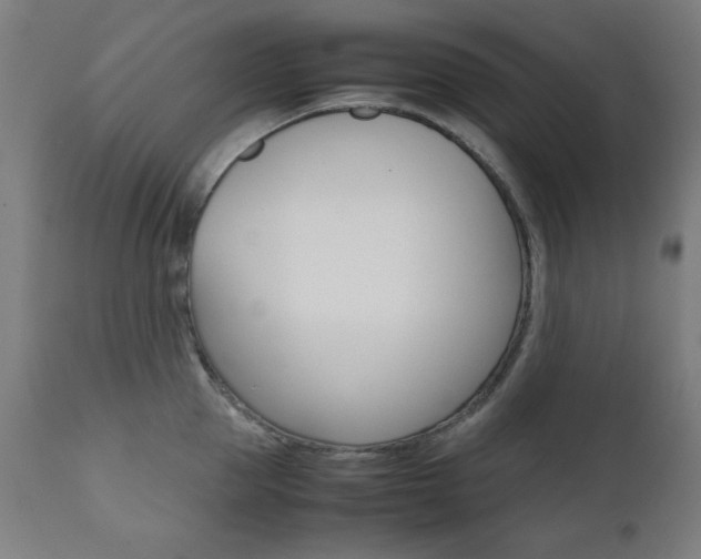 X0000112090953200908041045