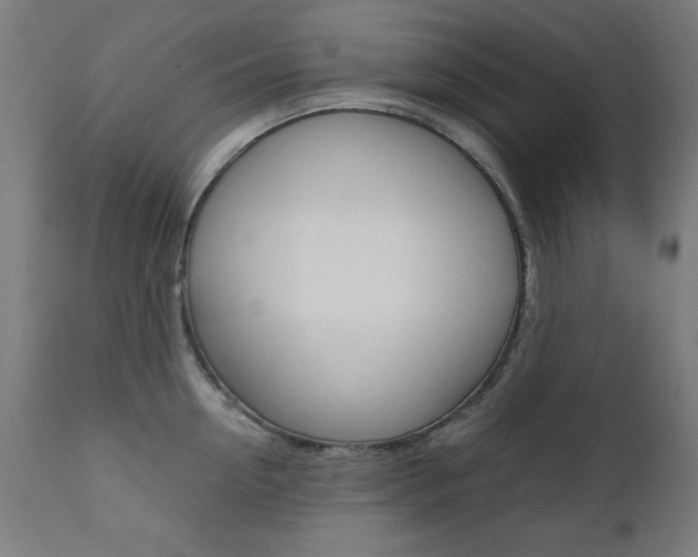 X0000112090954200908041045