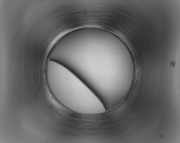 X0000112090955200908041045