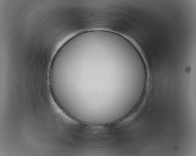 X0000112090957200908041045
