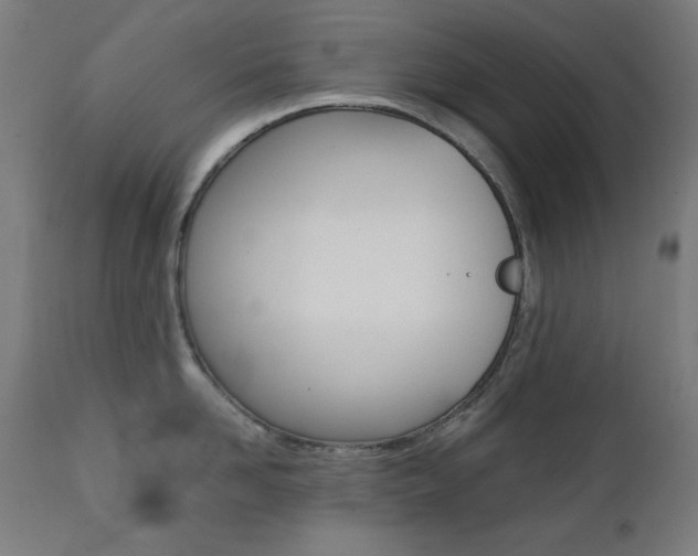 X0000112090958200908041045