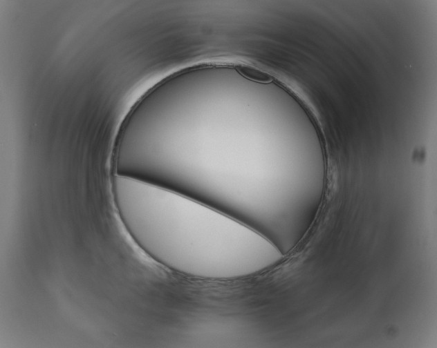 X0000112090959200908041045