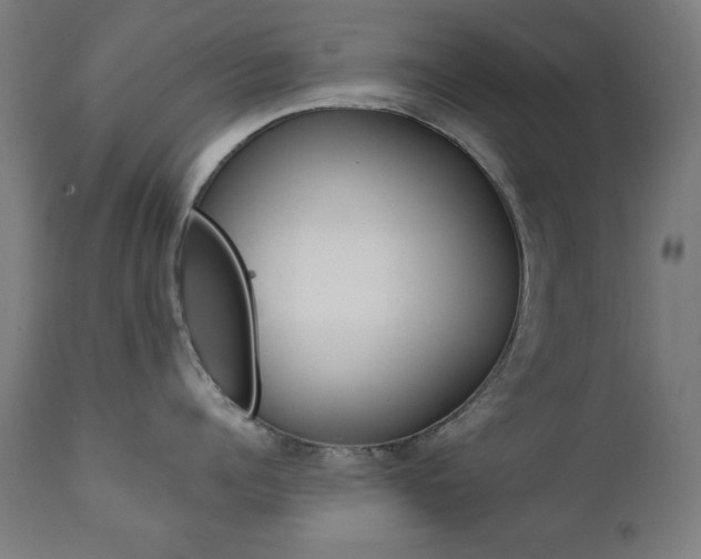 X0000112090960200908041045