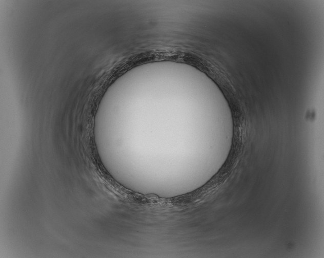 X0000112090961200908041044