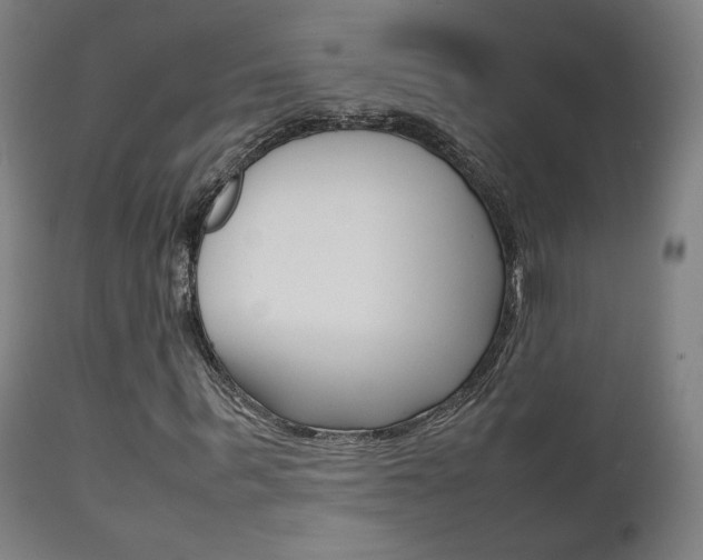 X0000112090963200908041044