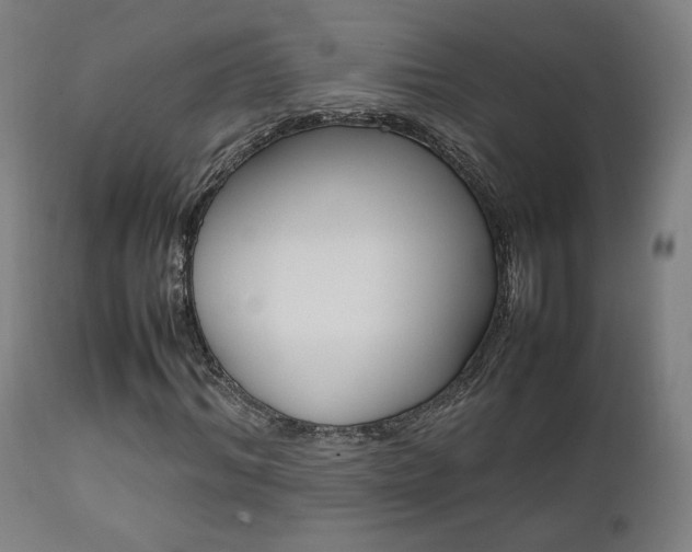 X0000112090964200908041044