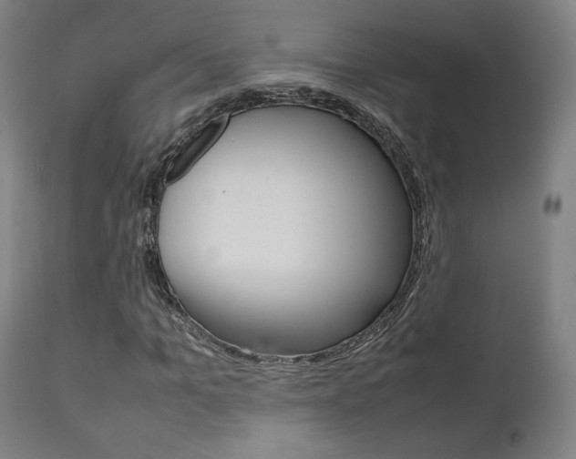 X0000112090965200908041044