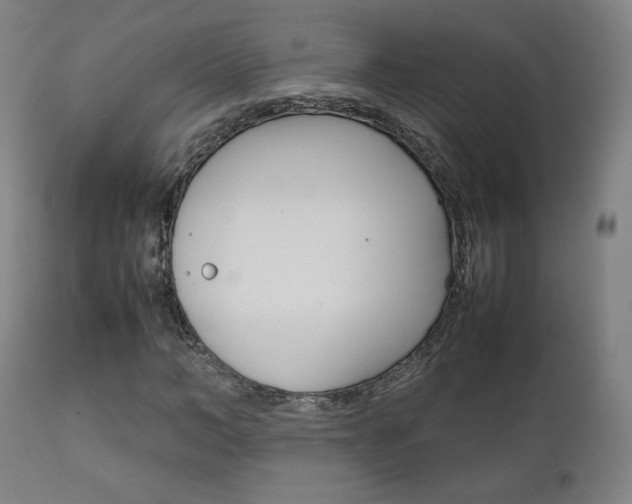 X0000112090966200908041044