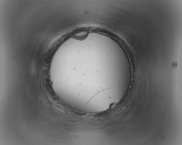 X0000112090967200908041044