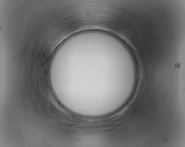 X0000112090969200908041044