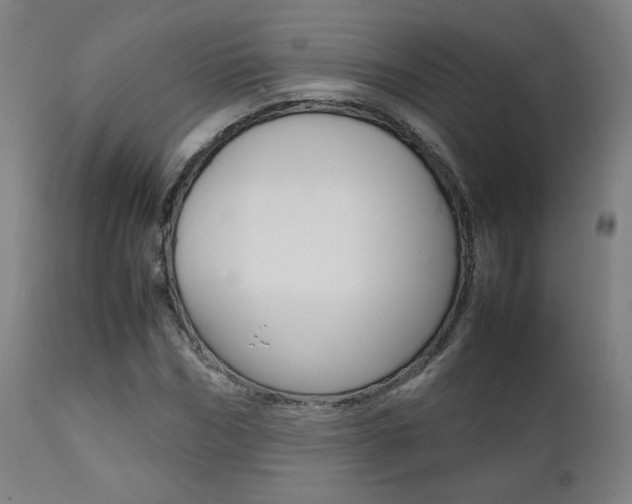 X0000112090970200908041044