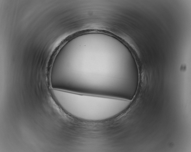 X0000112090972200908041044