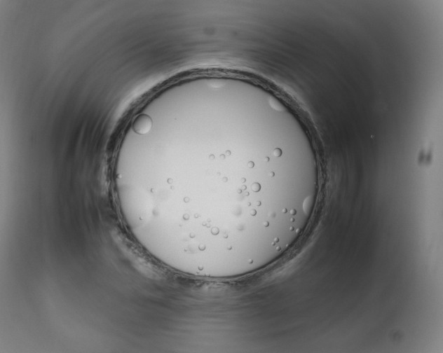 X0000112090974200908041044