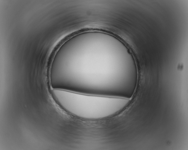 X0000112090976200908041044