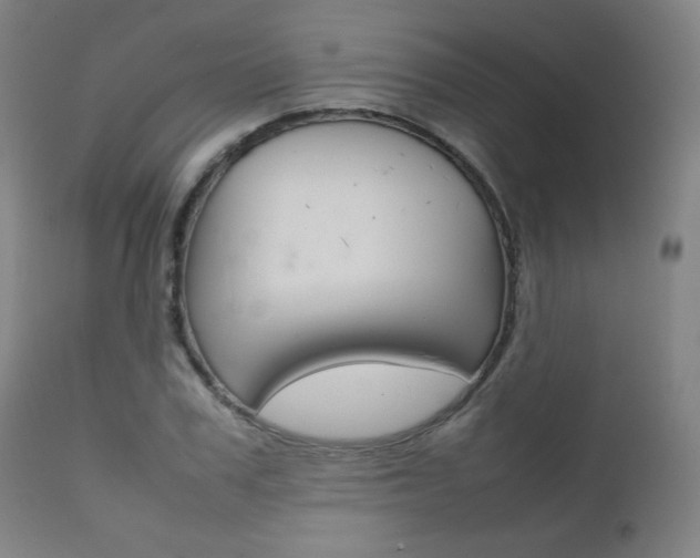 X0000112090979200908041044