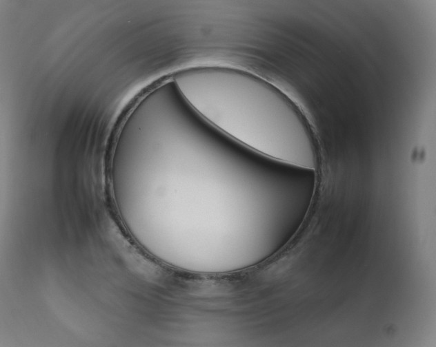 X0000112090980200908041044