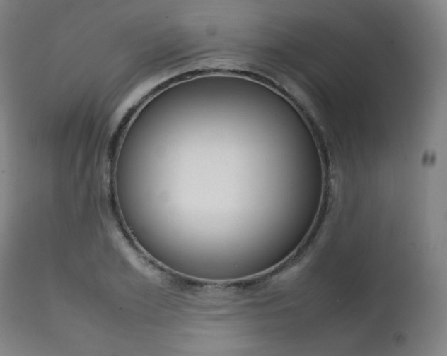 X0000112090981200908041044