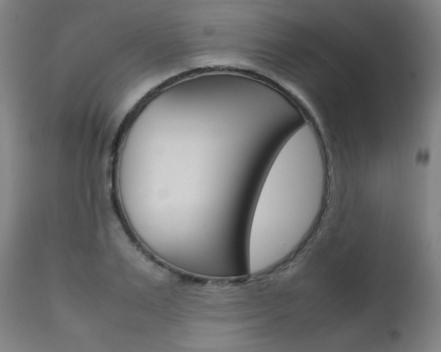 X0000112090983200908041044