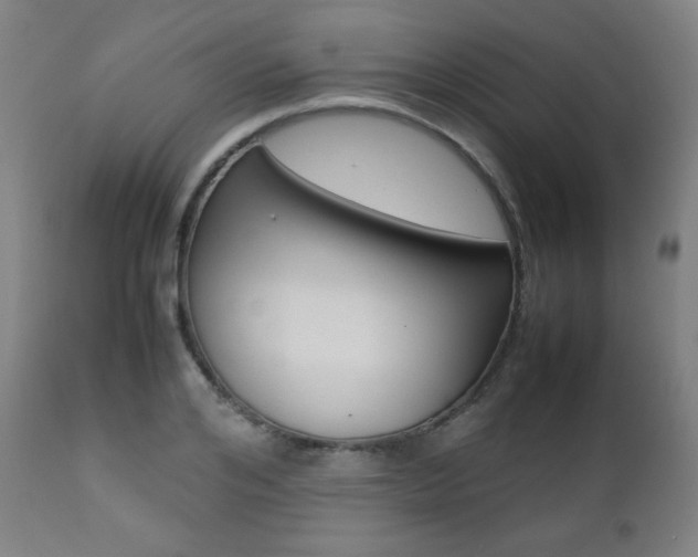 X0000112090984200908041044