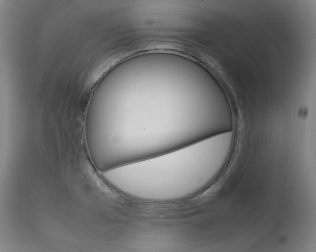X0000112090985200908041044