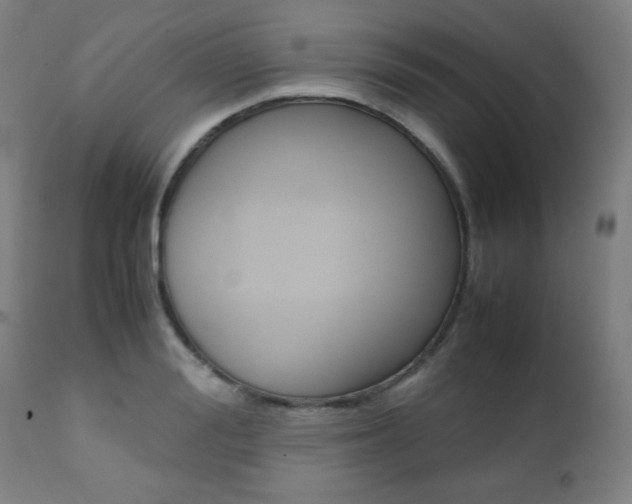 X0000112090988200908041044