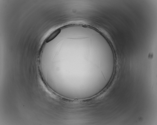 X0000112090989200908041044