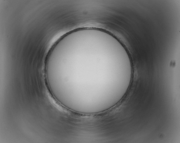 X0000112090990200908041043
