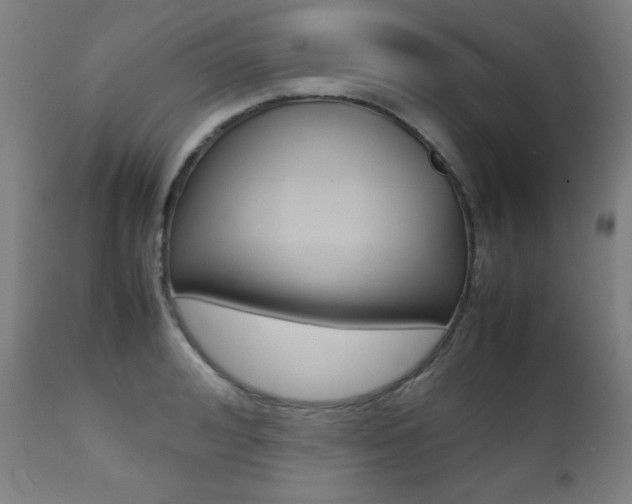 X0000112090992200908041043