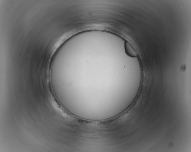 X0000112090994200908041043