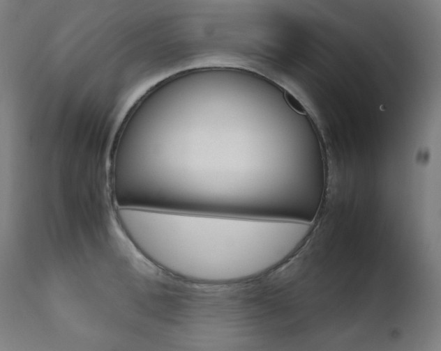 X0000112090996200908041043