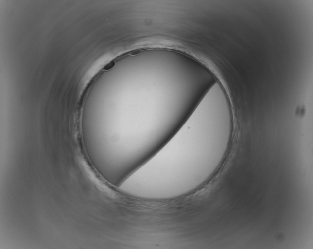 X0000112090997200908041043