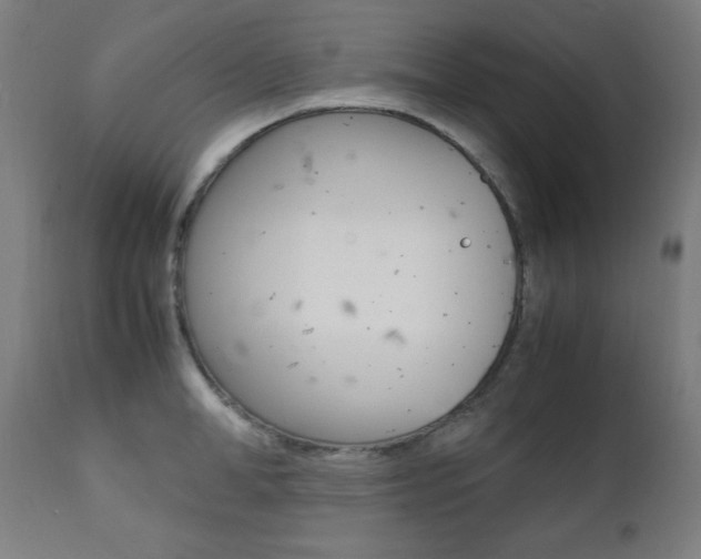 X0000112090998200908041043