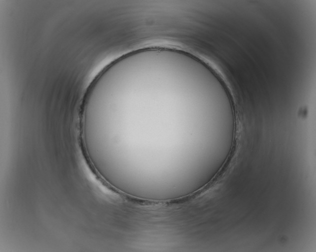 X0000112090999200908041043