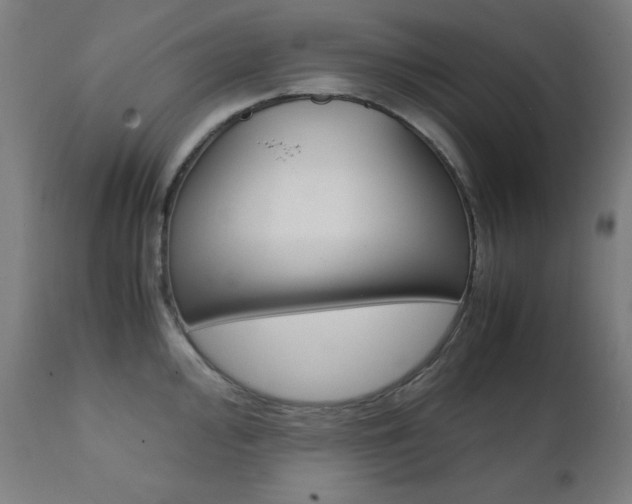 X0000112091000200908041043