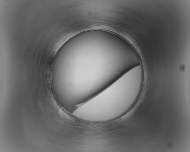 X0000112091001200908041043