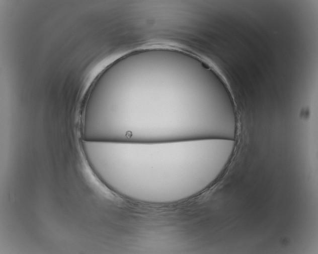 X0000112091003200908041043