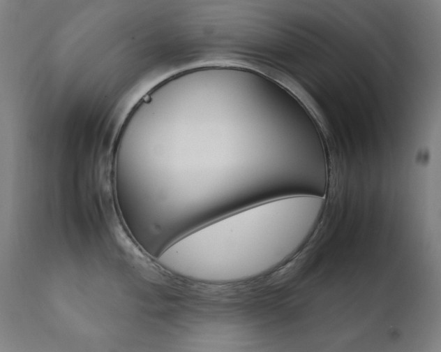 X0000112091004200908041043