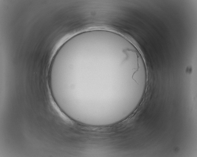 X0000112091005200908041043