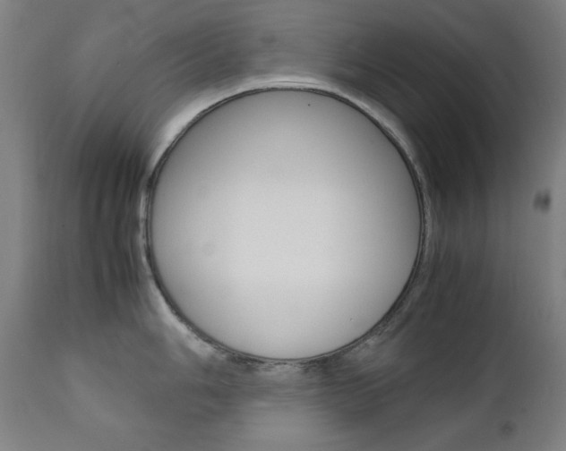 X0000112091006200908041043