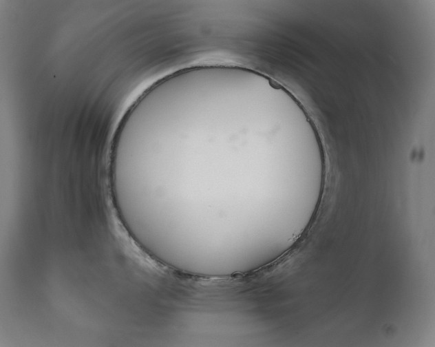 X0000112091008200908041043