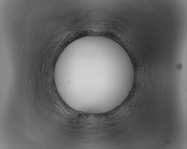 X0000112091009200908041043