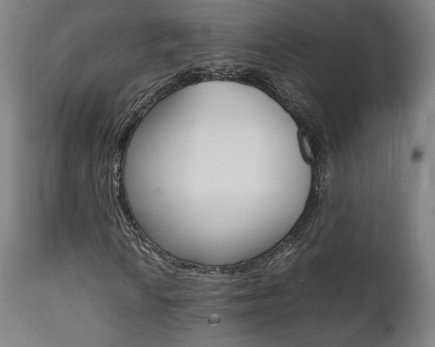 X0000112091010200908041043